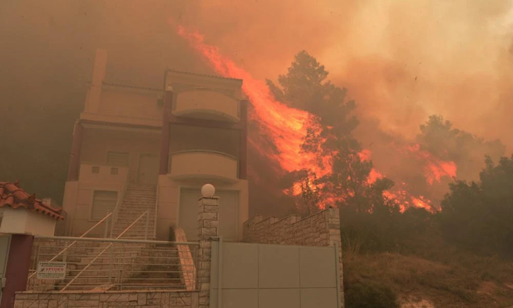 Φωτιά στη Φυλή: Την έσωσε η αυτοθυσία του εγγονού της